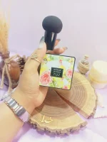 20250731040633988-thumbnail