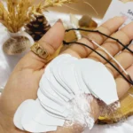 20250731041045054-thumbnail