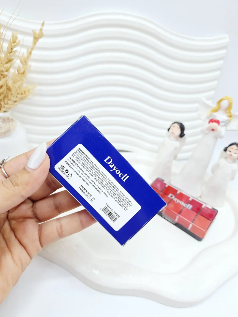 پالت رژ لب ده رنگ کیفیت عالی برند دایسل Deycill